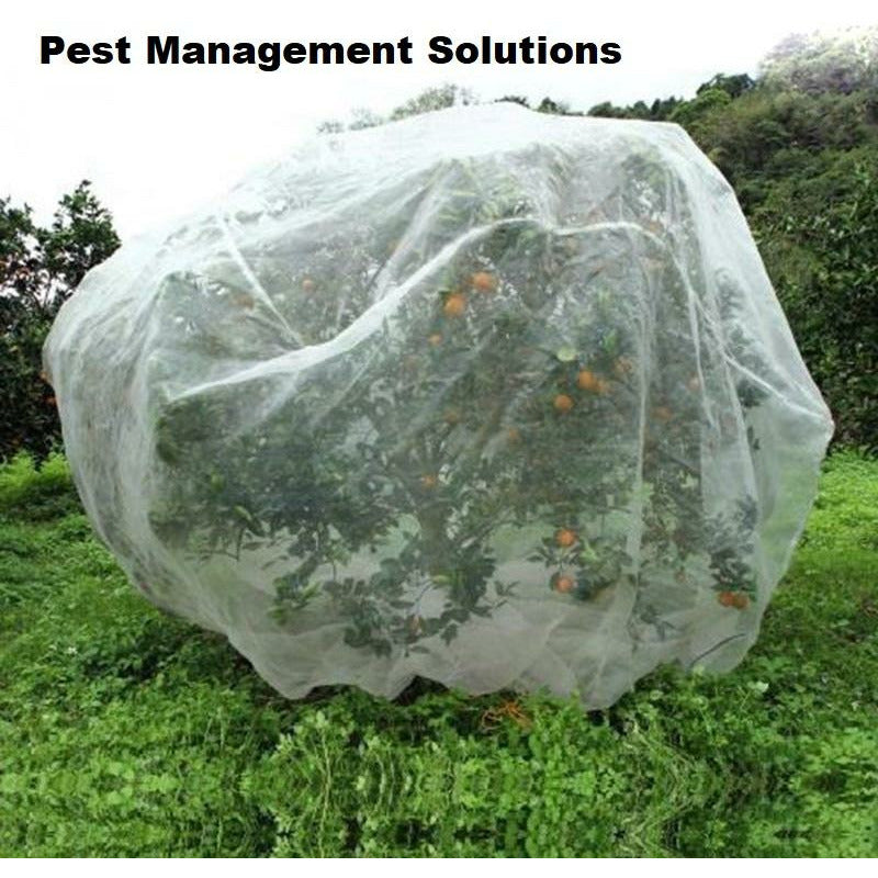 https://www.pestmanagementsolutions.com.au/cdn/shop/products/Untitled.jpg?v=1702537364